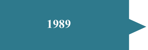 1989